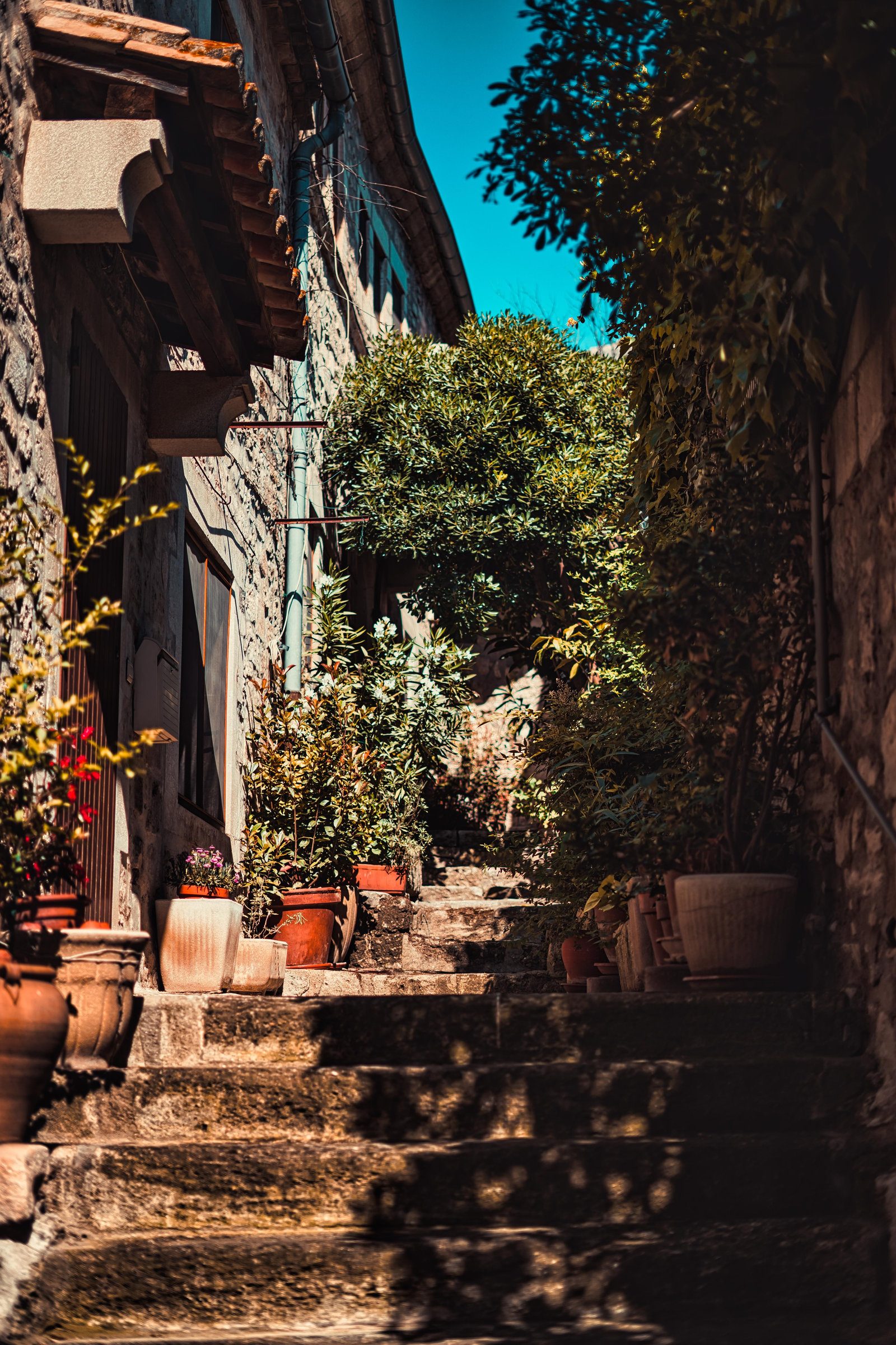 Provence obytným autem